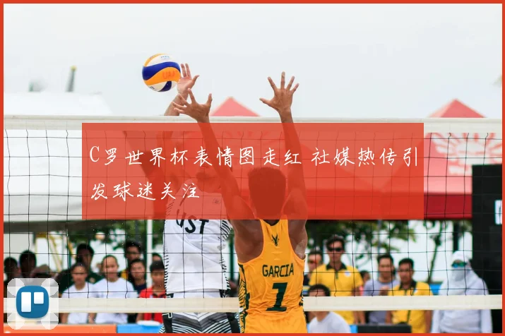 C罗世界杯表情图走红 社媒热传引发球迷关注