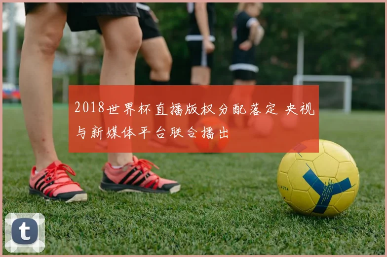 2018世界杯直播版权分配落定 央视与新媒体平台联合播出