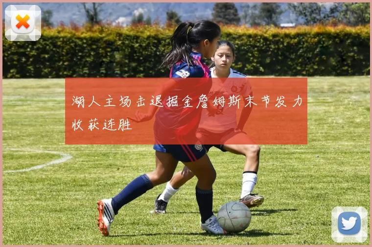 湖人主场击退掘金詹姆斯末节发力收获连胜